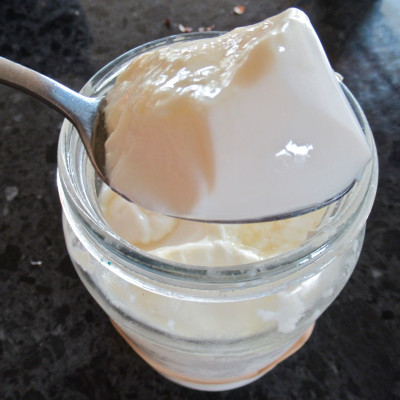 Caspian Sea Yoghurt / Matsoni Starter Culture