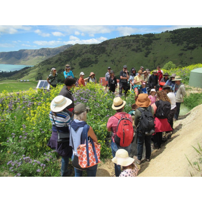 Guided Farm Tour