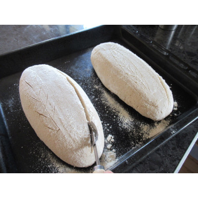 Gluten-free Sourdough Bread Baking Workshop
