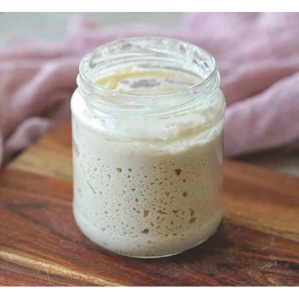 Gluten-Free Sourdough Starter