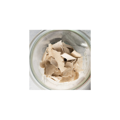 Gluten-Free Sourdough Starter