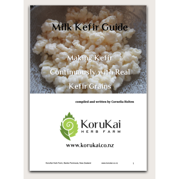 Milk Kefir Guide