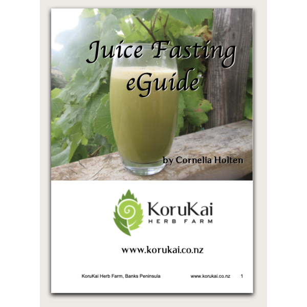 Juice Fasting Guide