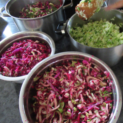 Lacto-fermentation Guide