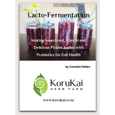Lacto-fermentation book