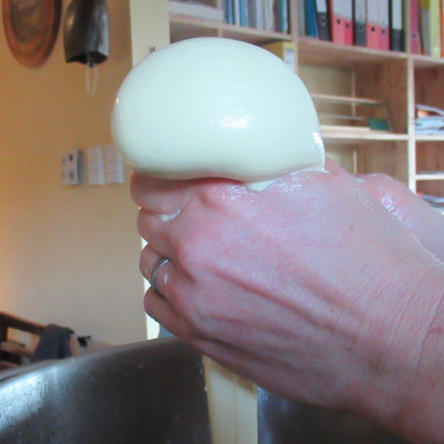 Natural Cheesemaking Workshop