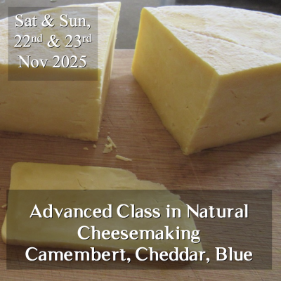 Natural Cheesemaking Workshop