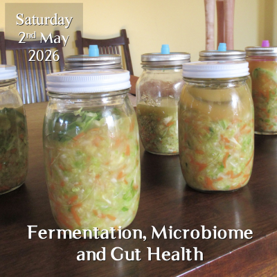 Fermentation Workshop