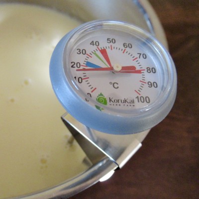 Dairy Thermometer