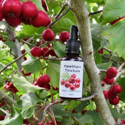 Hawthorn Tincture, Hawthorn Berry Extract