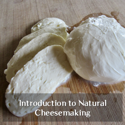 Natural Cheesemaking Workshop