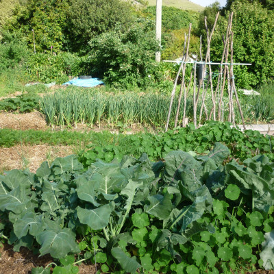 Autumn Workshop: The Art of Compost Making