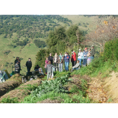 Farm Tour