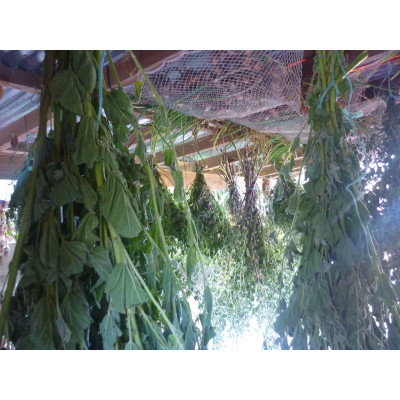 Farm Tour