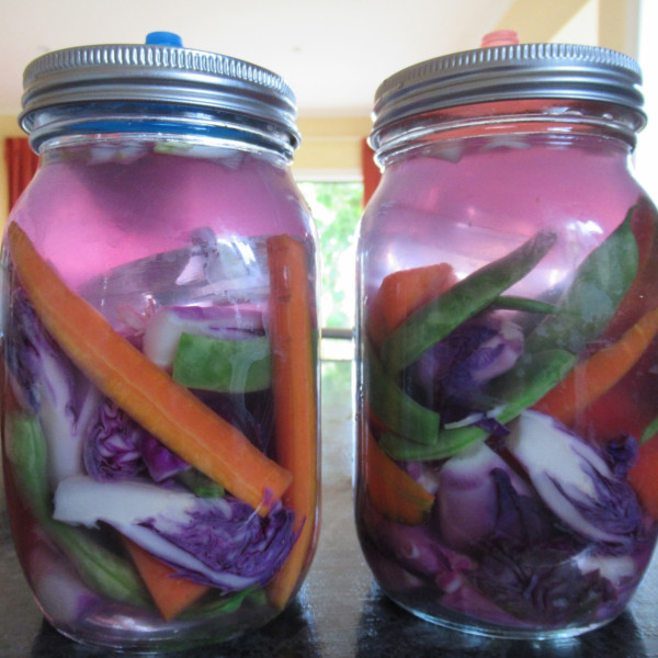 Fermentation Starters & Tools